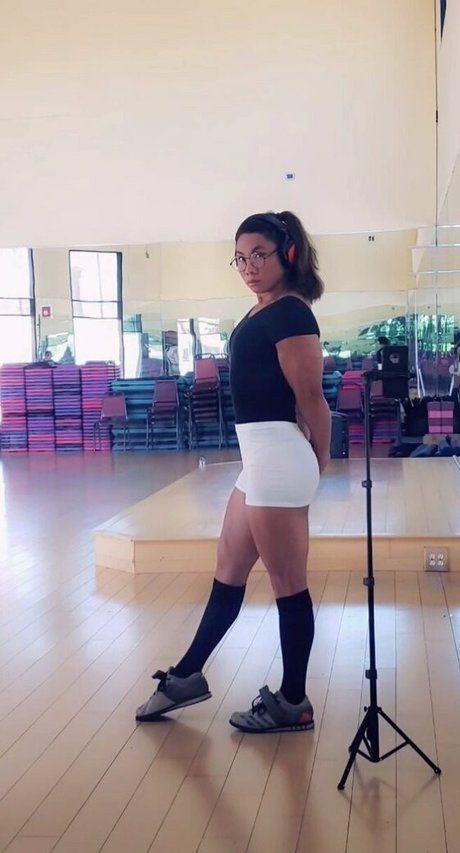 avysaur hd perfekte galerien