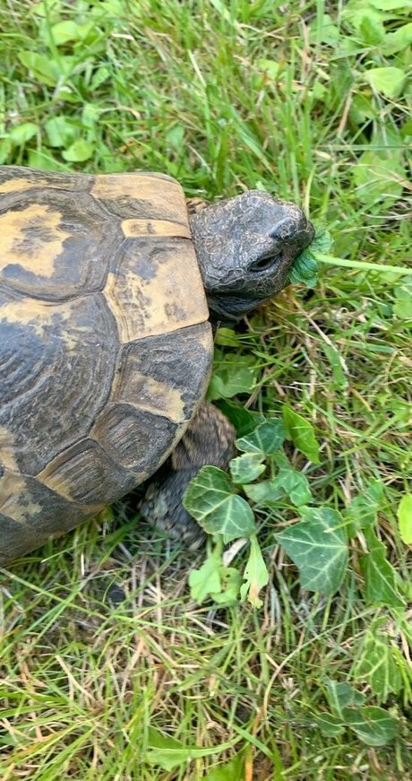 kawaii love beste akt fotos