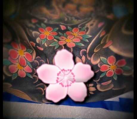 ebenholz-dildo onlyfans heiße hübsche bilder