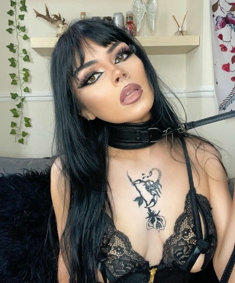 Portsmouth exklusive erwachsene bilder