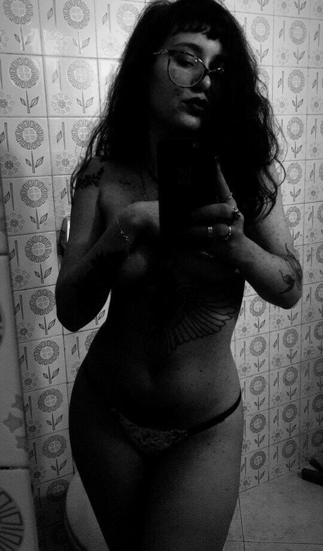 betinices top kostenlose bilder