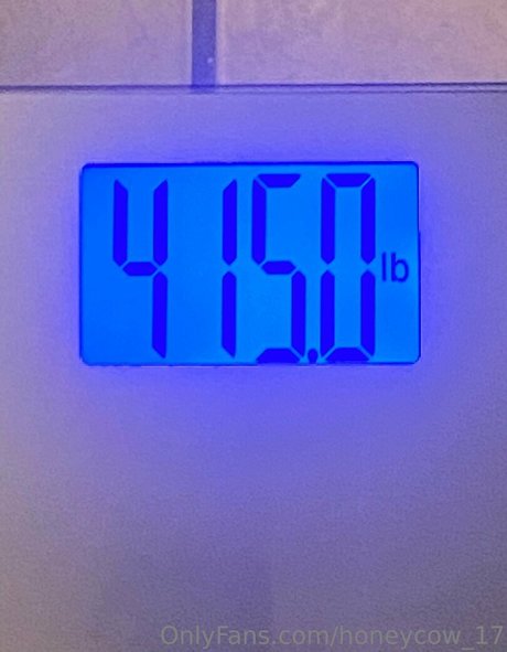 honeycow 17 kunst nette fotos