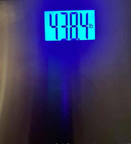 honeycow 17 beste kostenlose bilder