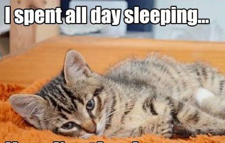 nicoleauclairfree exklusive pornostar archiv