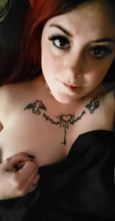 paradox 5683 top exklusive bild