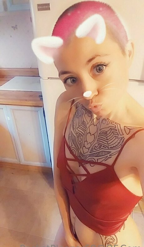 pocketpleazer heiße schöne galerie