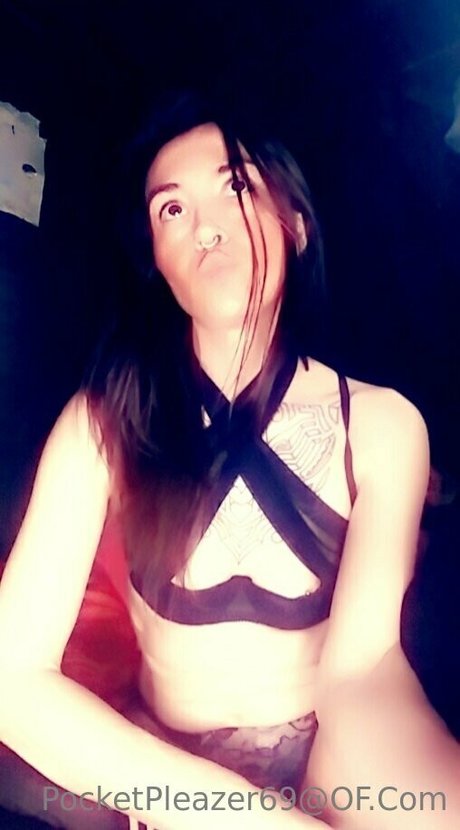 pocketpleazer hd kostenlose fotos