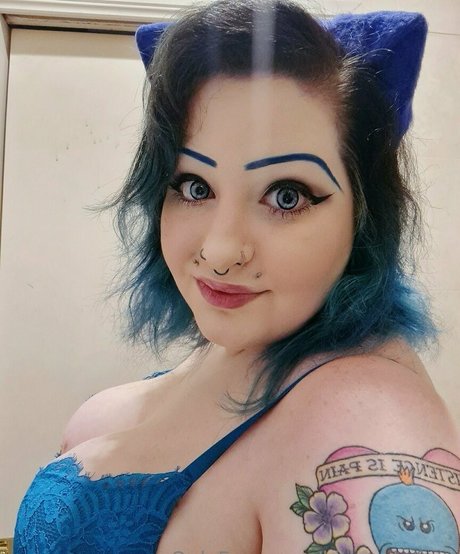 kitten k free schöne perfekte galerien