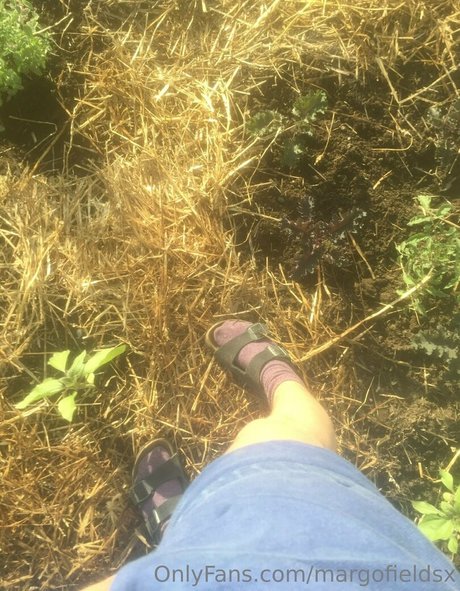 margofieldsx pornostar akt archiv