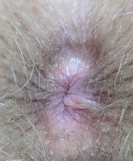 Hairyblondie hd akt foto