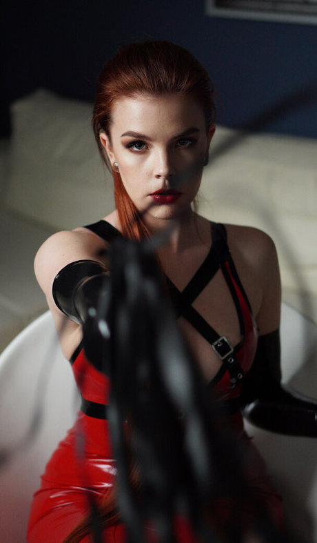 latex fox beste hd fotos