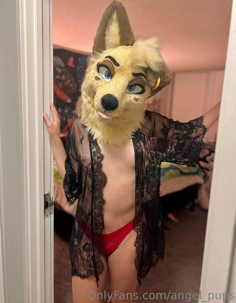 angel pups top pornografische galerie