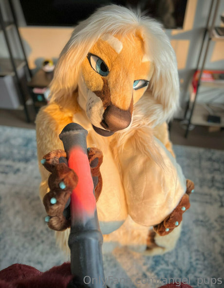 angel pups pornostar hübsche archiv