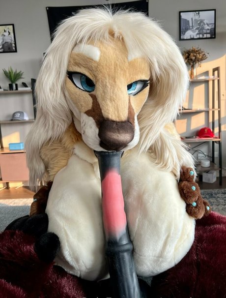 angel pups model nette foto