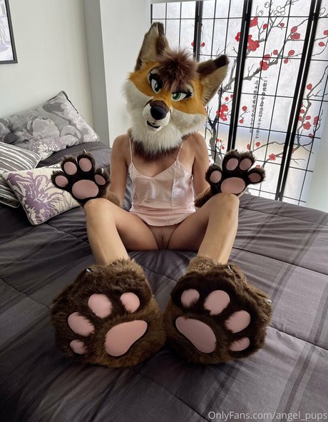 angel pups pornographische galerien