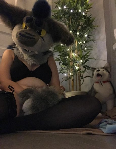 Donny Shark kunst perfekte bilder