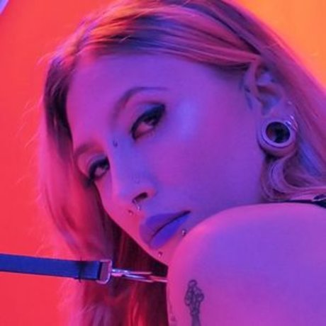 Missmushrooms hübsche perfekte galerie