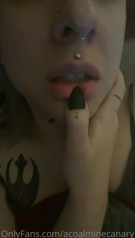 acoalminecanary heiße perfekte fotos