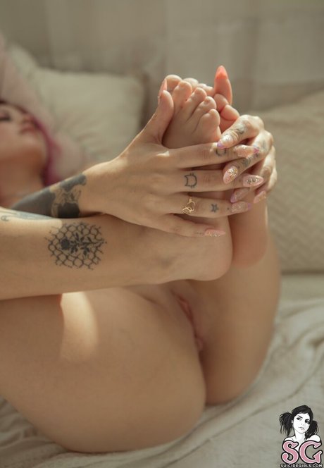 kitty nyaa schöne freie foto