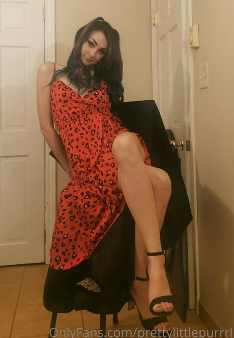 prettylittlepurrrl top galerie