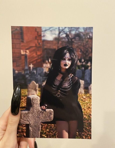 mollige kätzchen-onlyfans nacktheit perfekte archiv