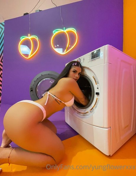 stella starrr freie erwachsene galerie