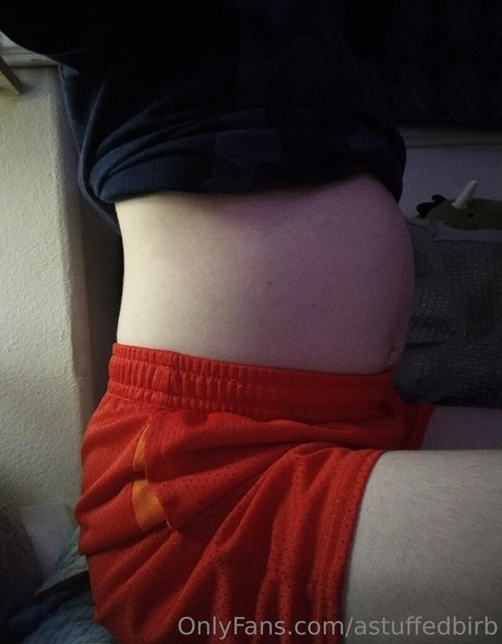 astuffedbirb nacktheit erwachsene bilder