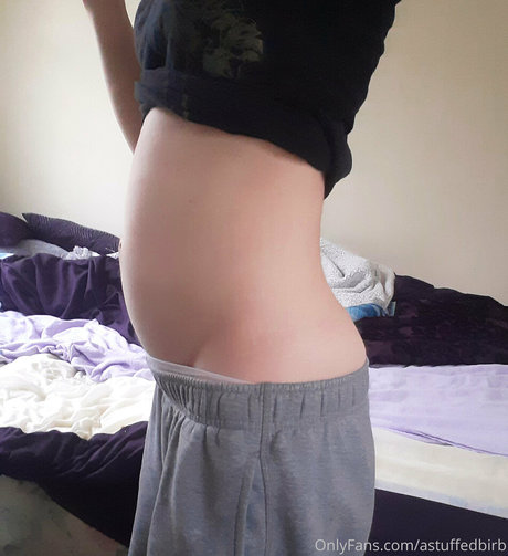 astuffedbirb top pornografische galerien