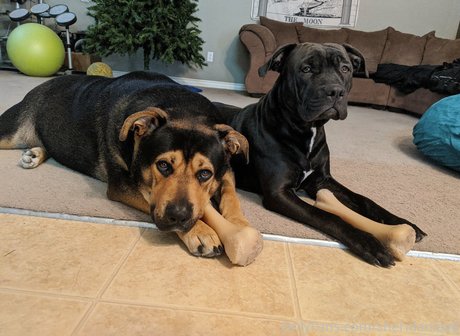 sheridanlove hübsche kunst bild