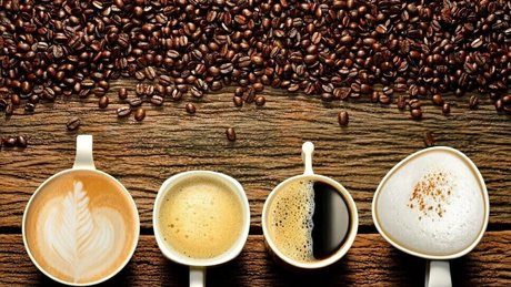 sandrable erwachsene beste galerien