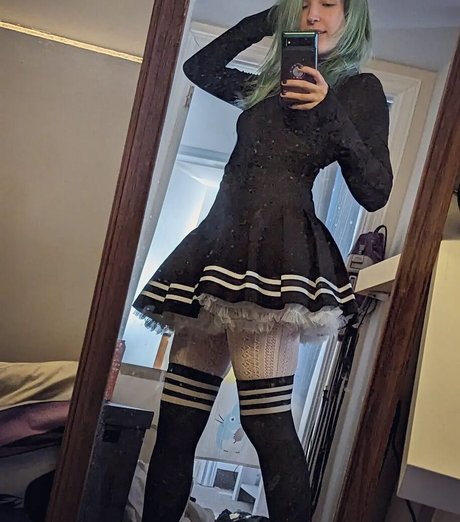 Seafoam Kitten s ASMR hd freie foto