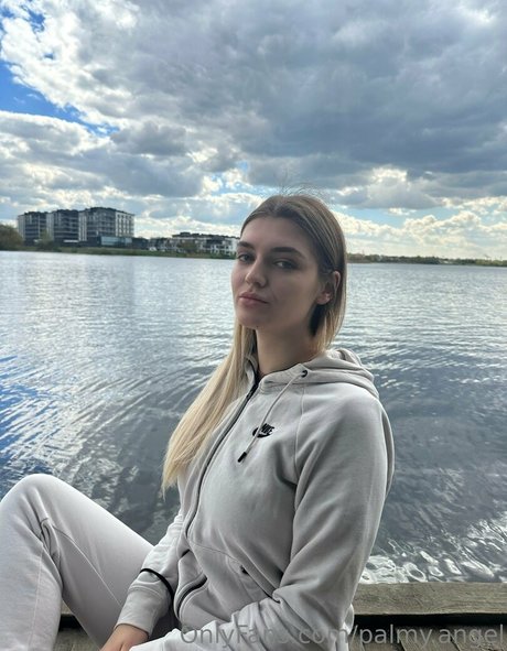 palmy angel perfekte schöne bilder