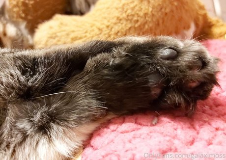 strand-milf-onlyfans freie top bilder