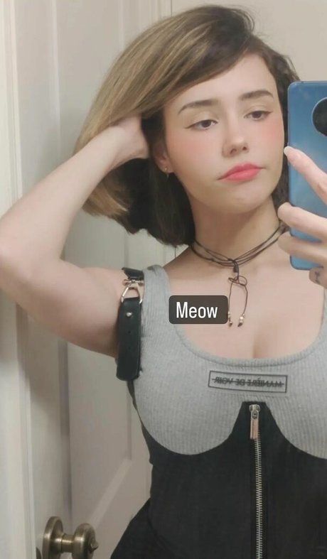 Catplant ASMR nackt perfekte bild