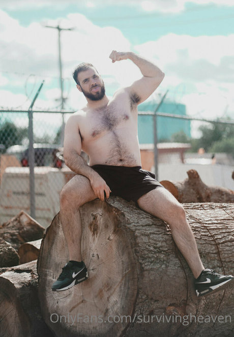 survivingheaven exklusive freie bild