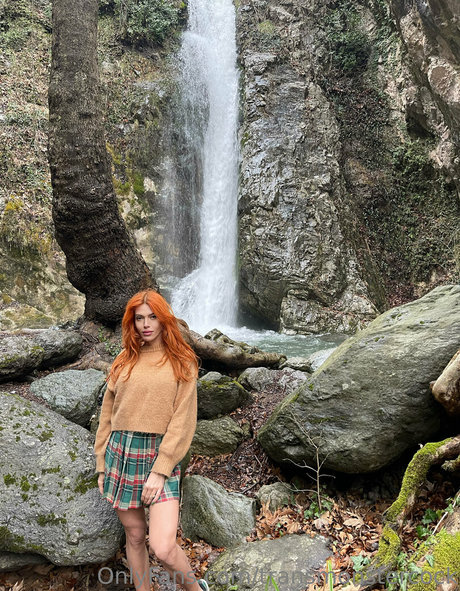 transmonstercock kostenlose bilder