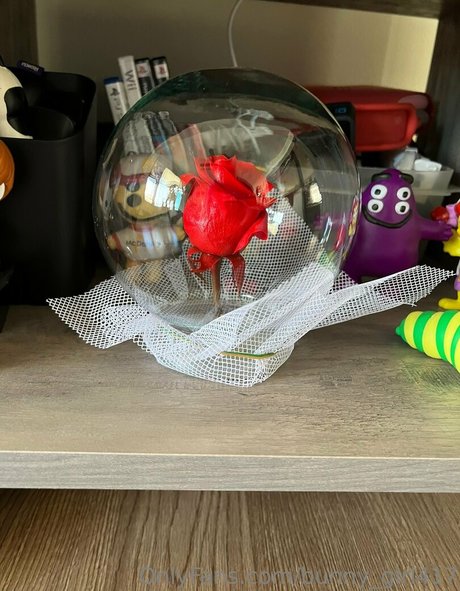 bunny girl417 top kostenlose archiv