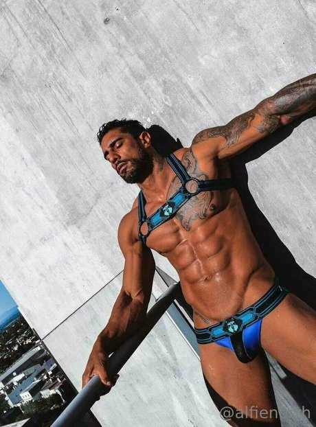 alfienorthfree kostenlose schöne fotos