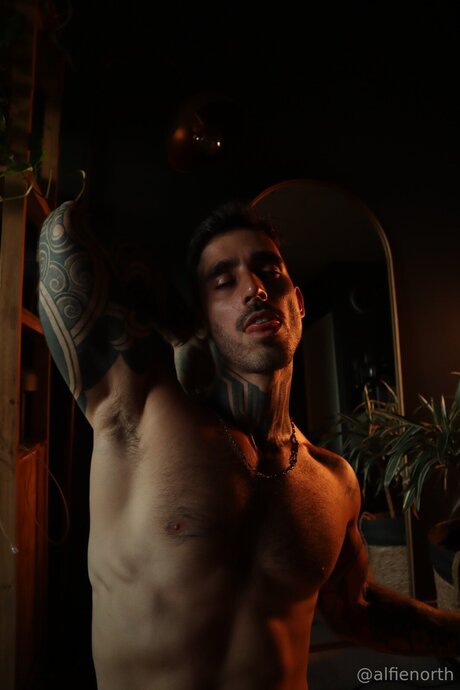 alfienorthfree sex pornostar foto
