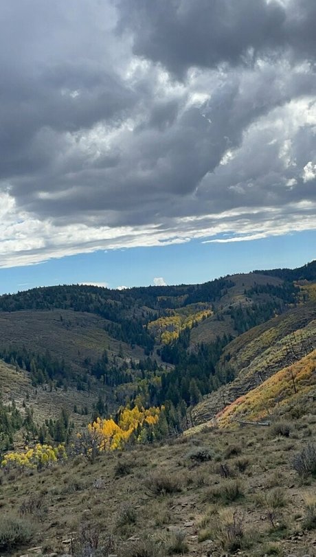 cheekz26 nacktheit freie galerie