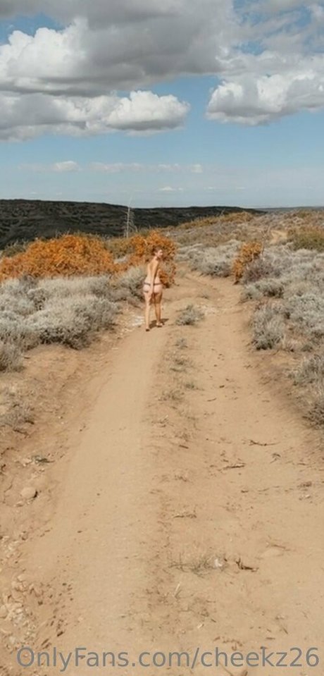 cheekz26 kunst hd archiv