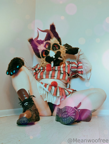 meanwoofree hd hübsche fotos