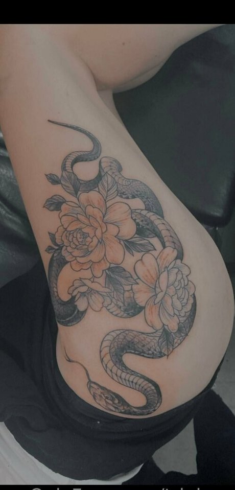 triple y top schöne galerie