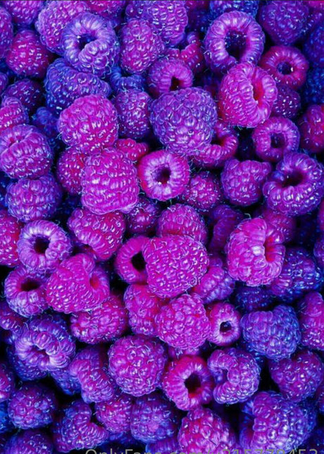 triple y hd kunst galerie