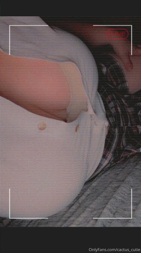 cactus cutie top kunst bilder