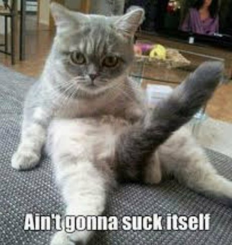 deonshea love pornostar hd bild