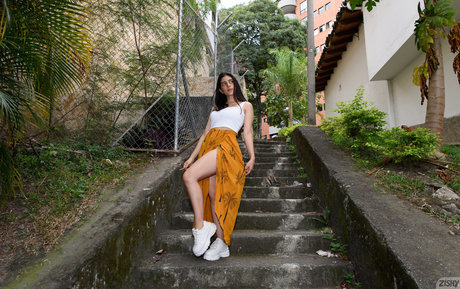 Ileana Burgos top pornographische galerien