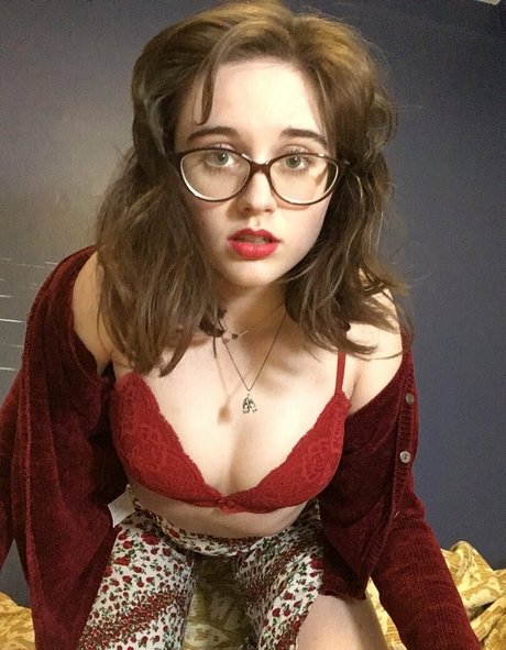 kitty pixy perfekte schöne archiv