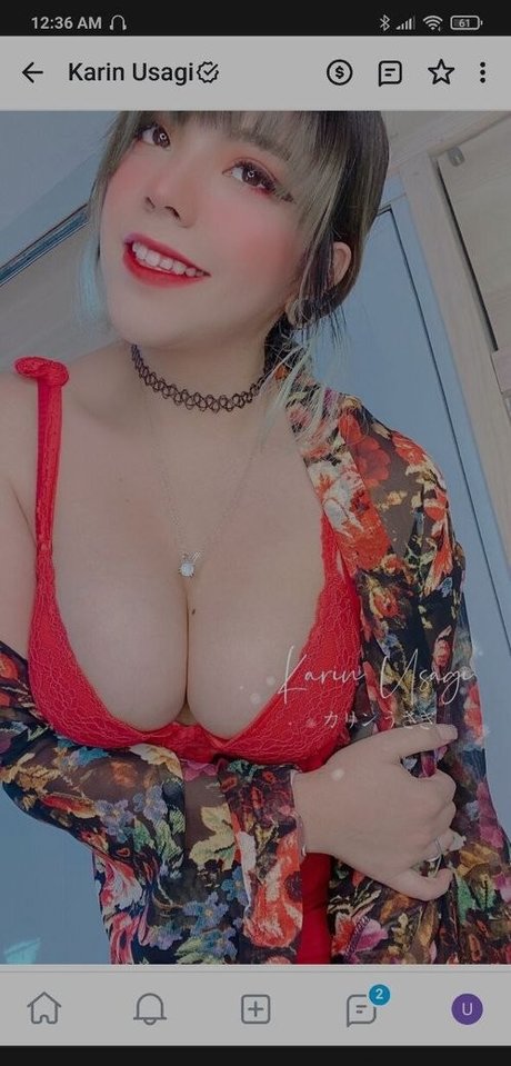 Karin Usagi erotische sex bilder