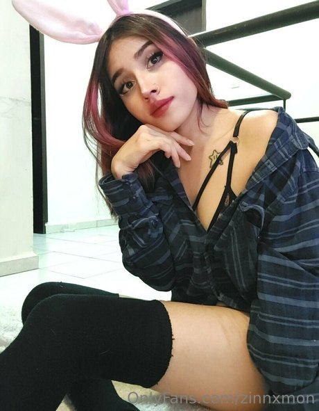 zinnxmon model hd archiv